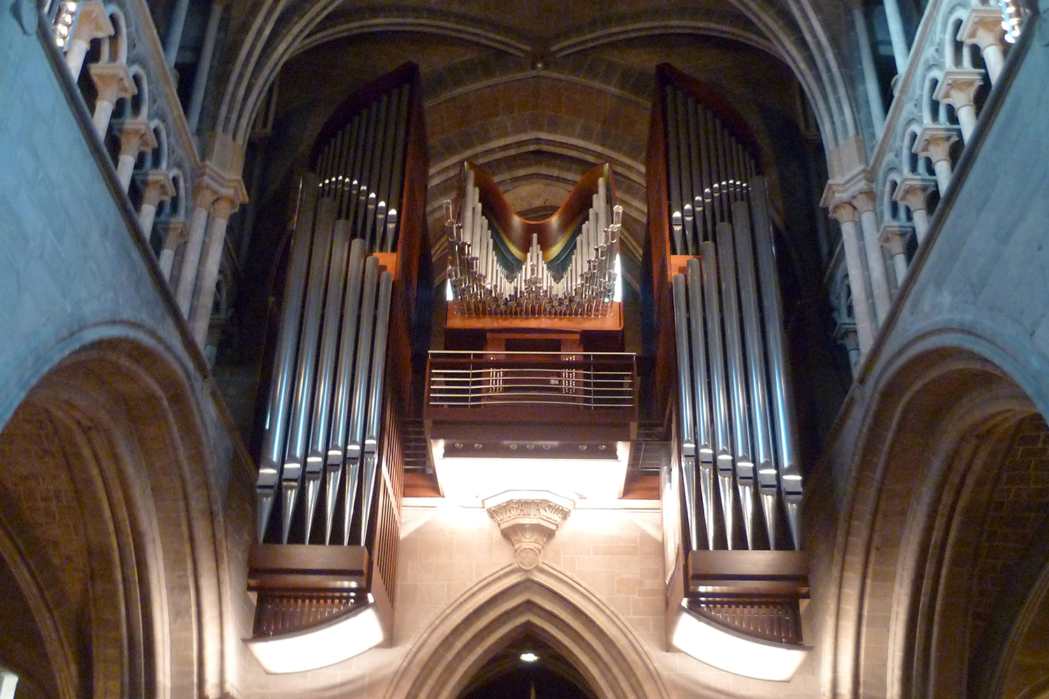 Organ